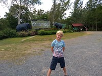 Groot wild