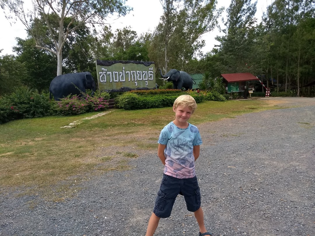 Groot wild