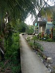 Bang Kachao