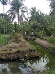 Bang Kachao