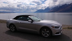 Ford Mustang in Teton Park