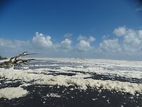 18 Tasman Sea