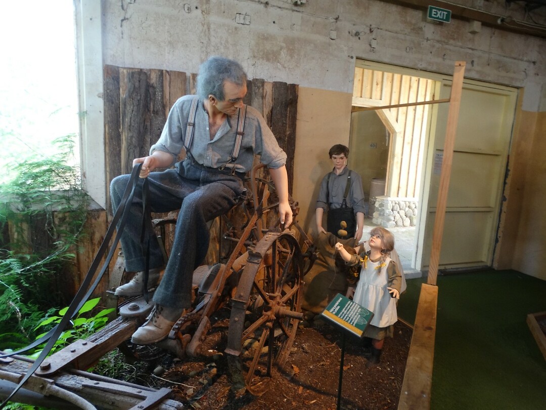 23 Tawhibi Museum Aardappels rooien