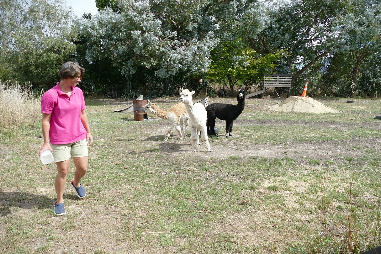 32 De Alcapas