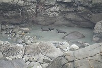 47 a Wall Island 3