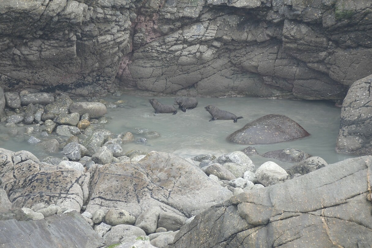 47 a Wall Island 3