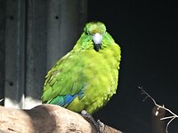 89 Vogelpark Te Anau