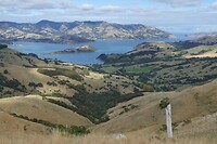 116 Bank Peninsula 2