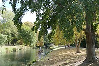125 Botanic Gardens
