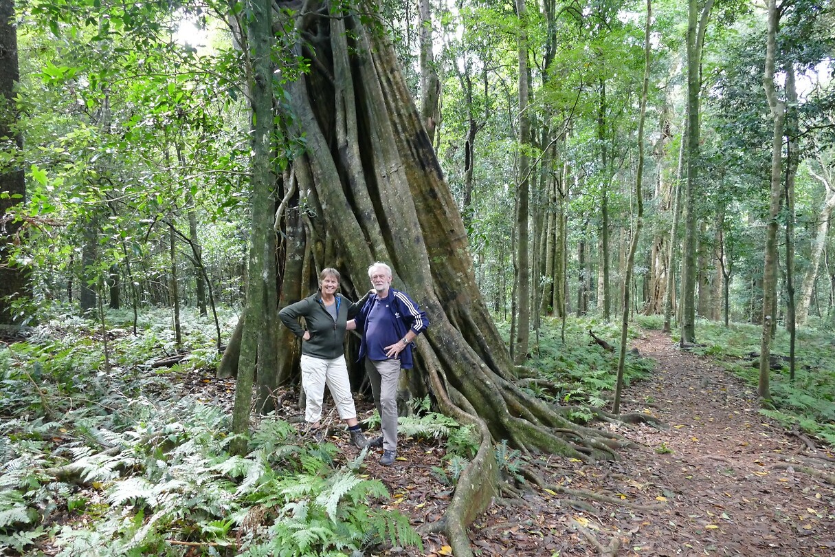 135 Bunya Mountains NP