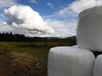 20190809_152727