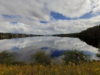 20190809_145036
