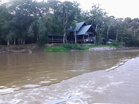 sepilok