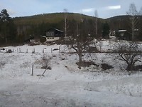 Zomaar vanuit de trein.