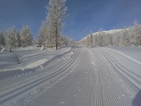 Vers getrokken loipen