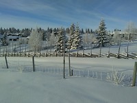 Zon
