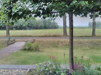 Regen