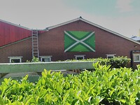 Vlag