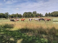 Ergens onderweg.