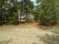 Loonse en Drunense duinen