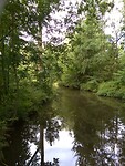 Oisterwijk de vennen