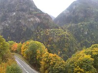 Prachtige herfst kleuren