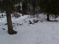 IMG_20230206_110219