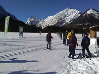 Pertisau