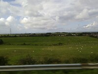Het landschap vanuit een rijdende bus