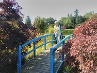 De italiaanse tuin