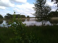 Strabrechtse heide