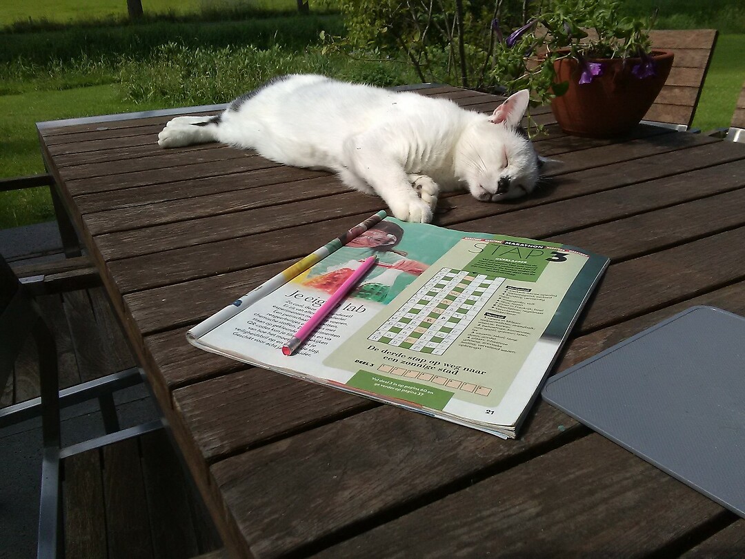 Hulp bij het puzzelen