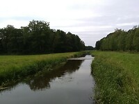 Ook hier wandel ik vaak.