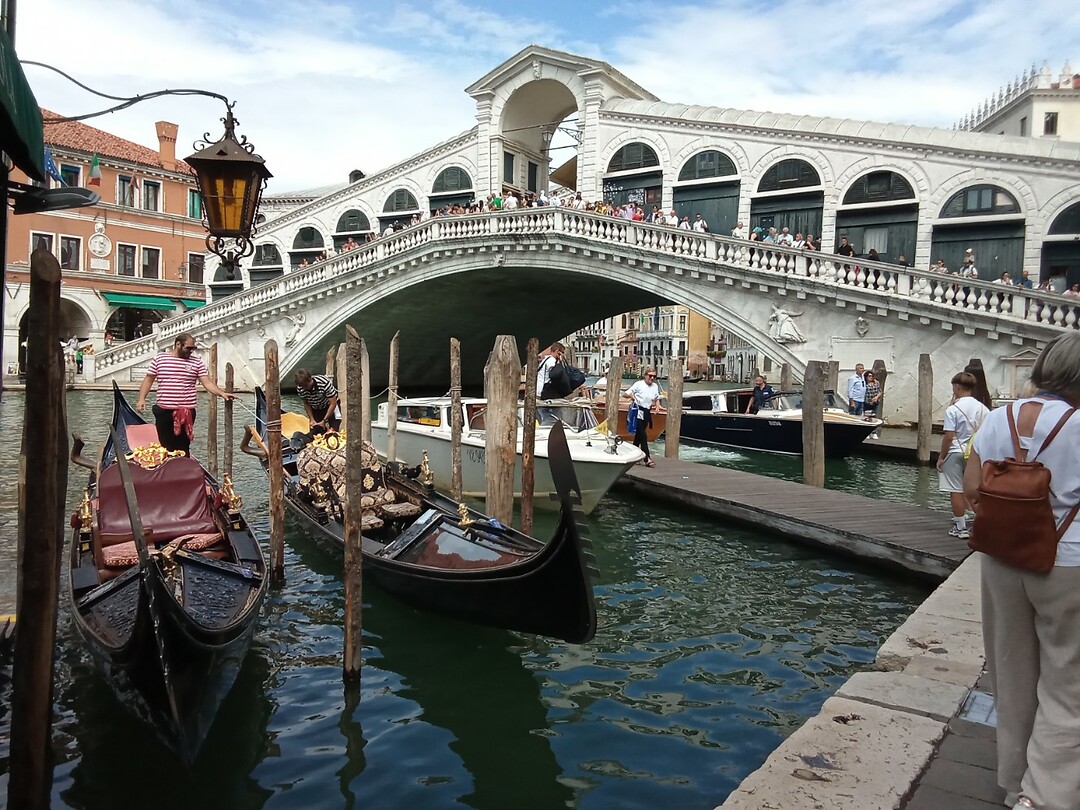 De Rialto brug.