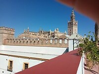 De cathedraal