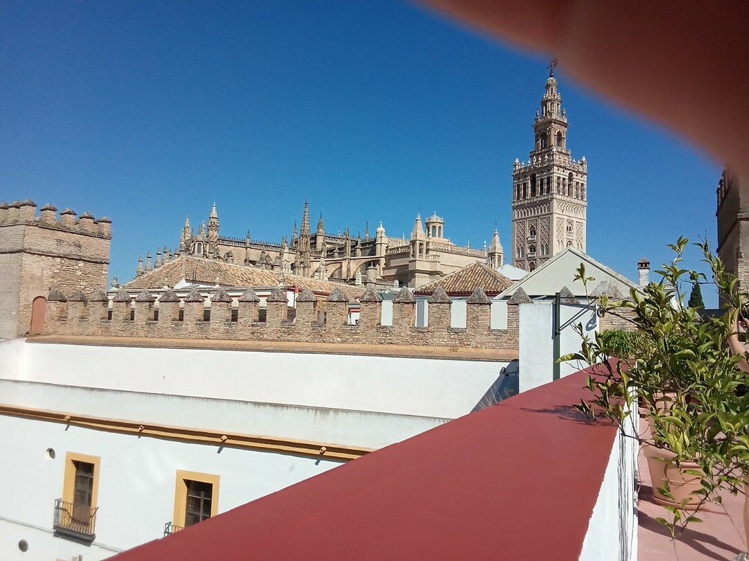 De cathedraal