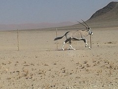 20160904_105700