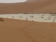 20160905_115150