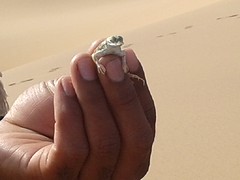 20160908_093200
