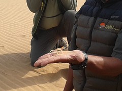 20160908_091345