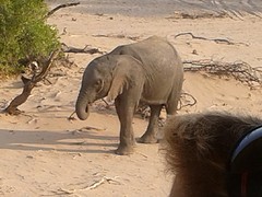 20160910_172324