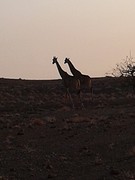 20160912_181507