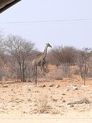20160913_112225
