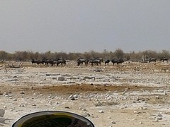 20160914_100734