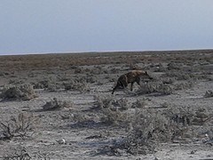 20160915_083037