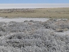 20160915_091758