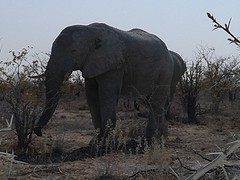20160915_153805