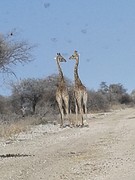 20160916_085827