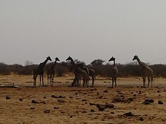 20160916_103518