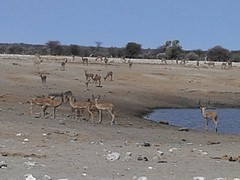 20160916_115220